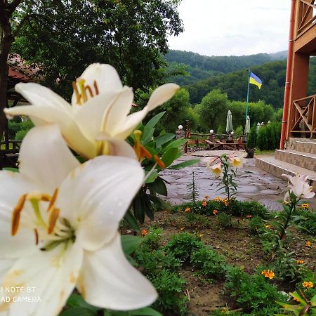 Bilovoddya Hotel Sil Extérieur photo