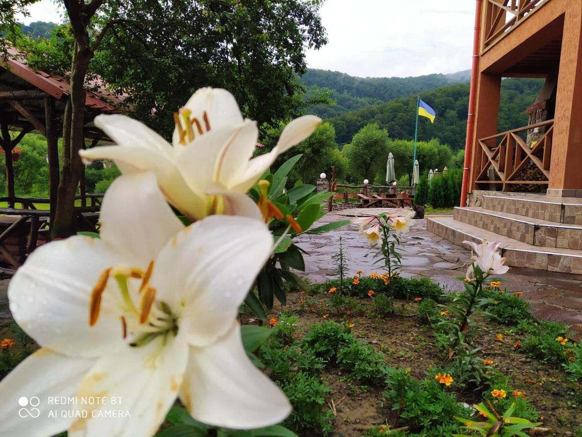 Bilovoddya Hotel Sil Extérieur photo